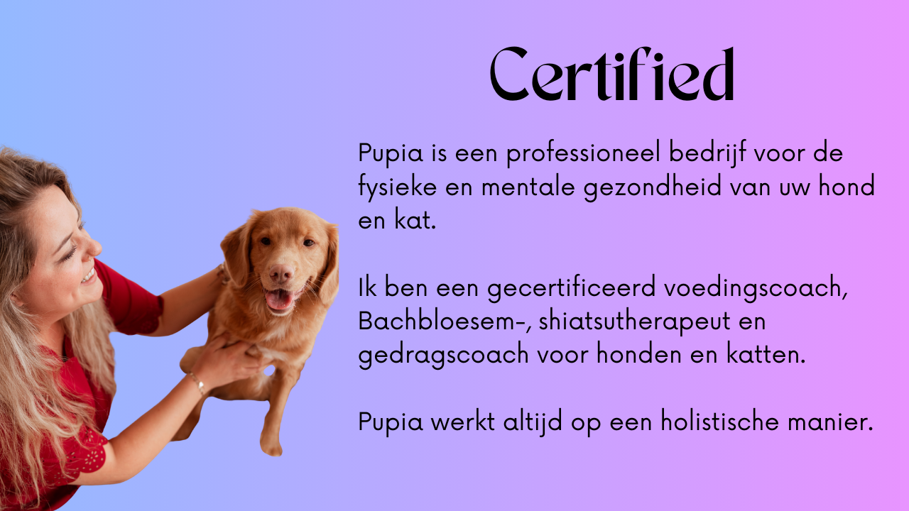 Maak kennis met Pupia: uw gecertificeerde partner voor holistische voeding-, therapie- en gedragscoaching voor honden en katten. Complete zorg voor het welzijn van uw huisdier.